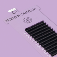 MODERN CAMELLIA / C CURL