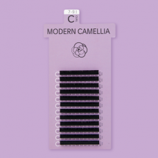 MODERN CAMELLIA / C CURL