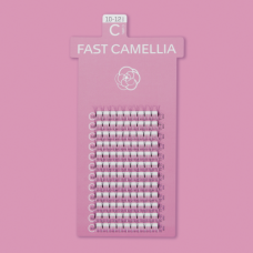 FAST CAMELLIA / C CURL