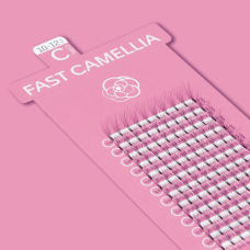 FAST CAMELLIA / C CURL