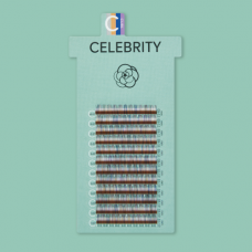 CELEBRITY / ADONIS FLOWER / PURPLE+GREY+BROWN